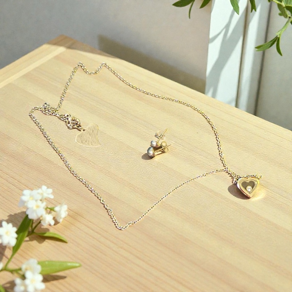 Stainless Steel Heart Pendant Necklace and Earring Set